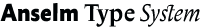 Anselm Type System