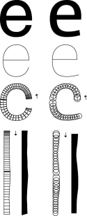 Corpid