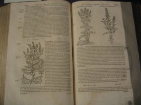 Livres de Plantin